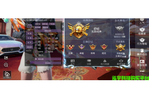 ​🔥🎮 和平精英《大唐西安》驱动6.6来